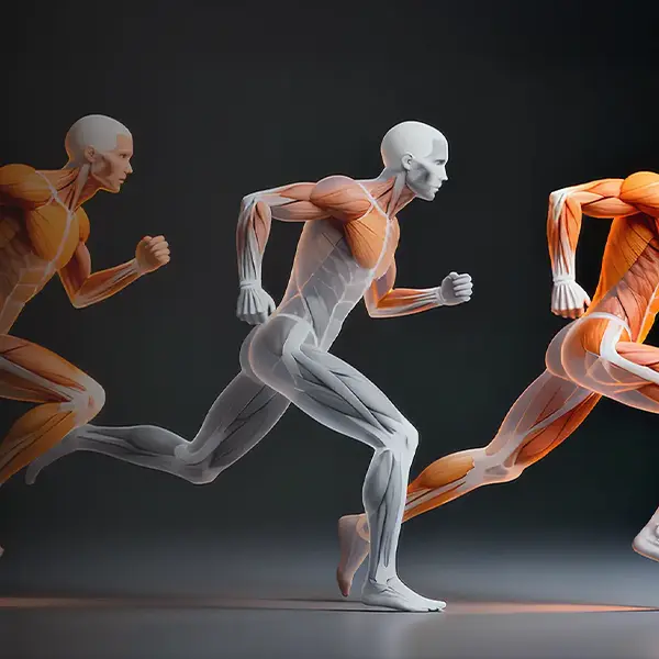 Cómo hacer un vídeo animado en 3D paso a paso