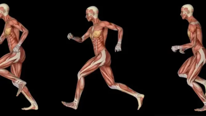 GA-Cómo hacer un vídeo animado paso a paso Animación 3D Pose to pose GrupoAudiovisual