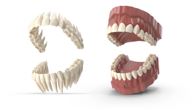 simulacion 3d boca dientes diente muela pala colmillo incisivo grupoaudiovisual