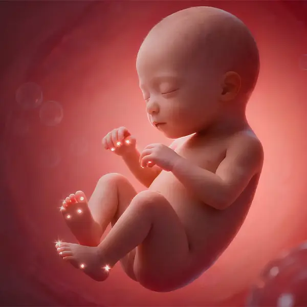 Qué es y qué ventajas tiene la animación 3D