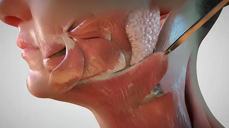 Intervención de cuello y rejuvenecimiento facial en animación 3d grupoaudiovisual