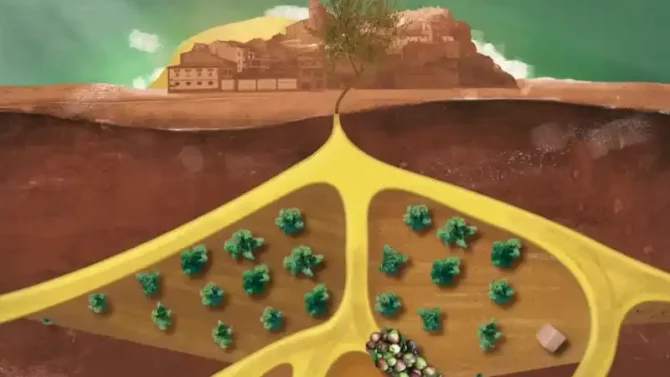 Edición de vídeo y Motion Graphics Campaña social imagen de proyecto 01 Grupoaudiovisual