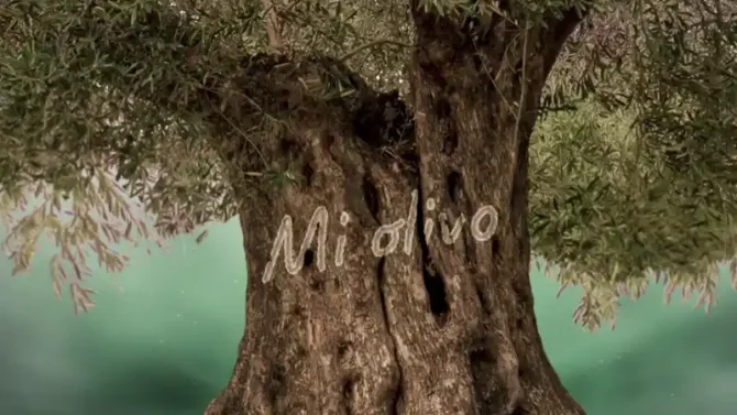 Edición de vídeo y Motion Graphics Campaña social imagen de proyecto 04 Grupoaudiovisual