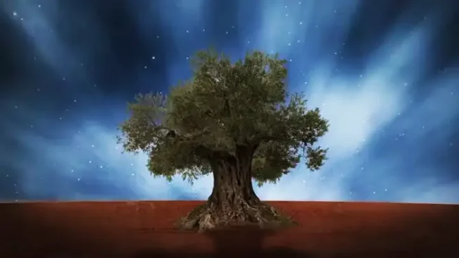 Muestra de trabajos audiovisuales - Edición de vídeo y Motion Graphics Campaña social GrupoAudiovisual