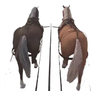 Reconstrucción virtual 3D 360 grados del Castillo de Calaf Barcelona GrupoAudiovisual