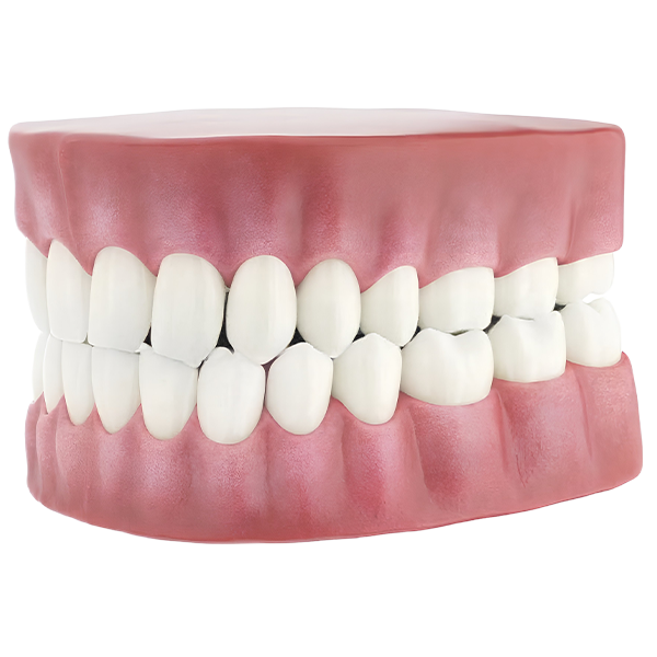 Servicio de Animación 3D Odontología Vídeos Dentales para Clínicas en España Grupo Audiovisual Estudio de animaciones 3d cgi