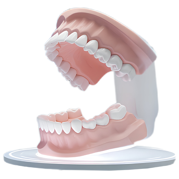 Animación 3D en medicina y odontología aplicaciones informativas para profesionales de la salud GrupoAudiovisual