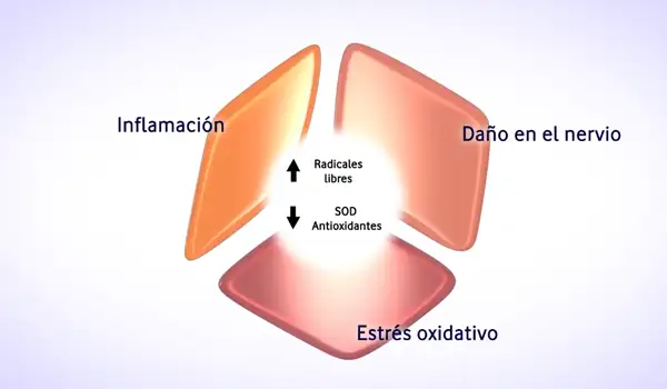 Imagen de proyecto Animación 3D Médica sobre Radiculopatías y Síndromes Canaliculares Grupo Audiovisual 02