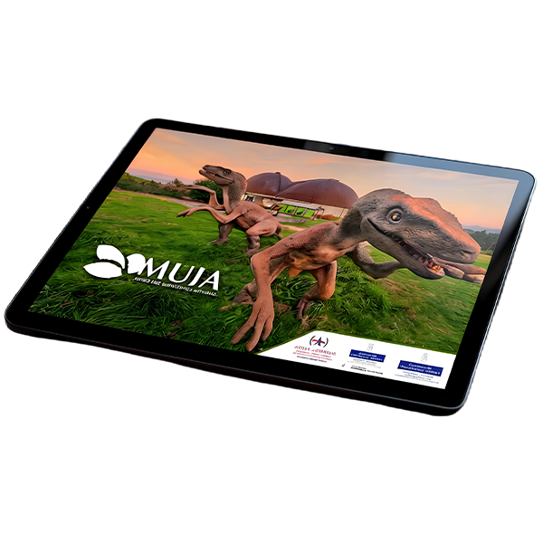 Programación 360 a medida