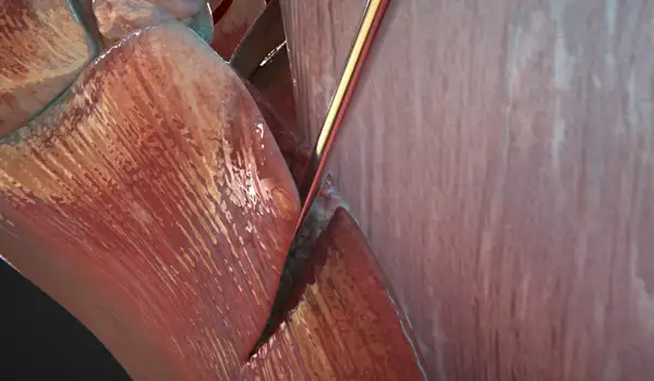 Proyecto Animación 3D Profesional para Cirugía Estética grupo audiovisual imagen 04