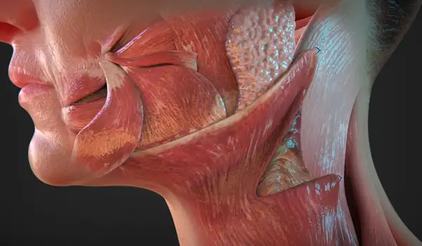 Proyecto Animación 3D Profesional para Cirugía Estética grupo audiovisual imagen 05