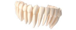 Servicio-destacado-odontologia-3D-animacion-dientes-dentadura-procesos-odontologicos